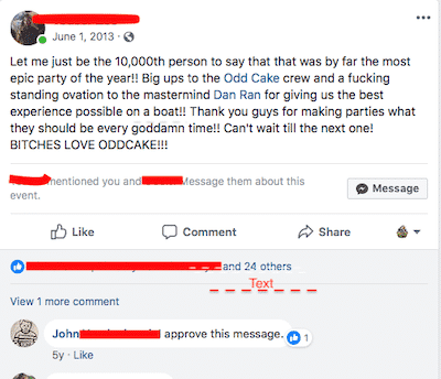 One Of The Many Facebook Comments About An Oddcake Party 2, OddCake